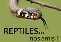 Reptiles nos amis - vignette newsletter avril 2017