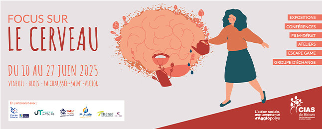 Focus sur le cerveau 