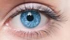 oeil