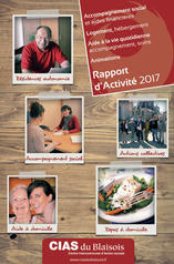 rapport d'activite 2017