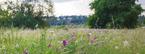 Biodiversité - Têtière 2019-04
